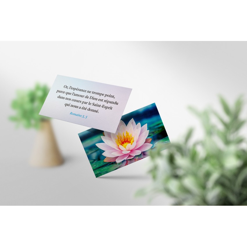 Coffret de 50 mini-cartes - 50 versets - Encouragement