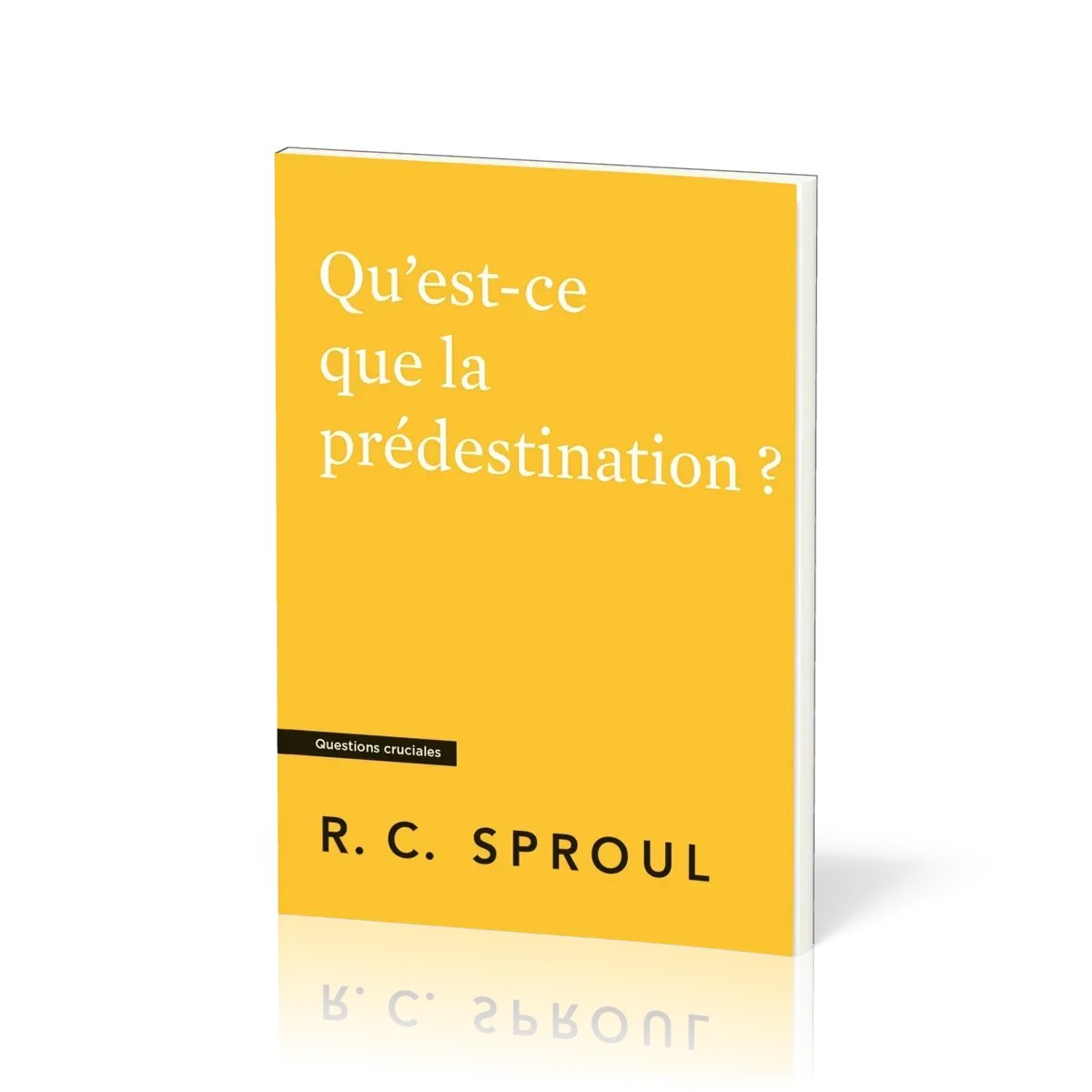 Qu'est-ce que la prédestination ? - [Questions cruciales]
