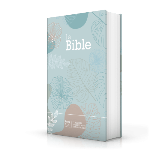 Bible Segond 21 compacte (Premium Style) - couverture rigide, toilée matelassée, vert d'eau