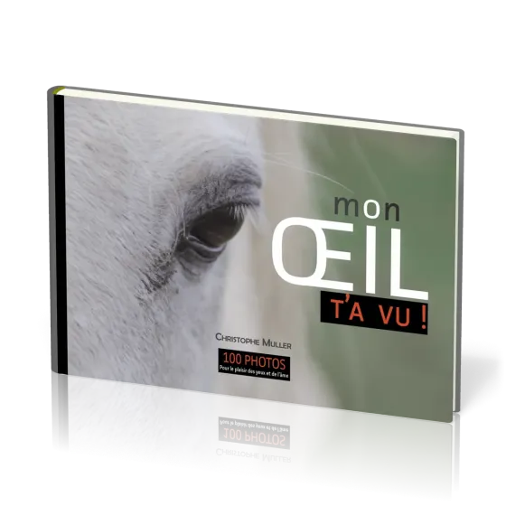 Mon œil t'a vu - 100 photos pour le plaisir des yeux et de l'âme