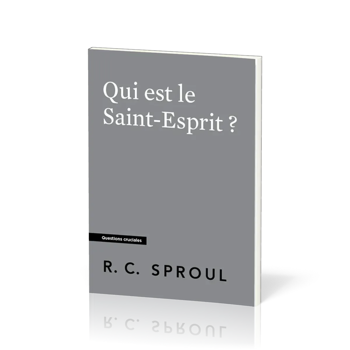 Qui est le Saint-Esprit ? - [Questions cruciales]