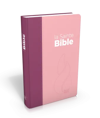 Bible Segond NEG compacte - couverture souple, toile duo rose praline / violet fruits des bois en...