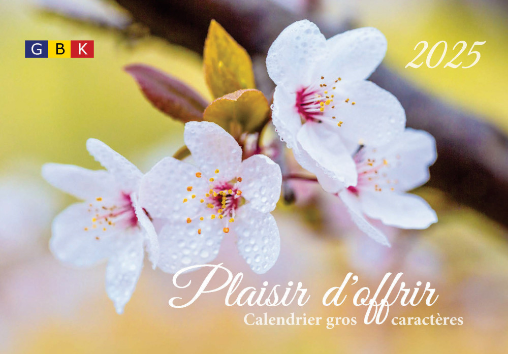 Plaisir d'offrir - Joli calendrier photo à gros caractères