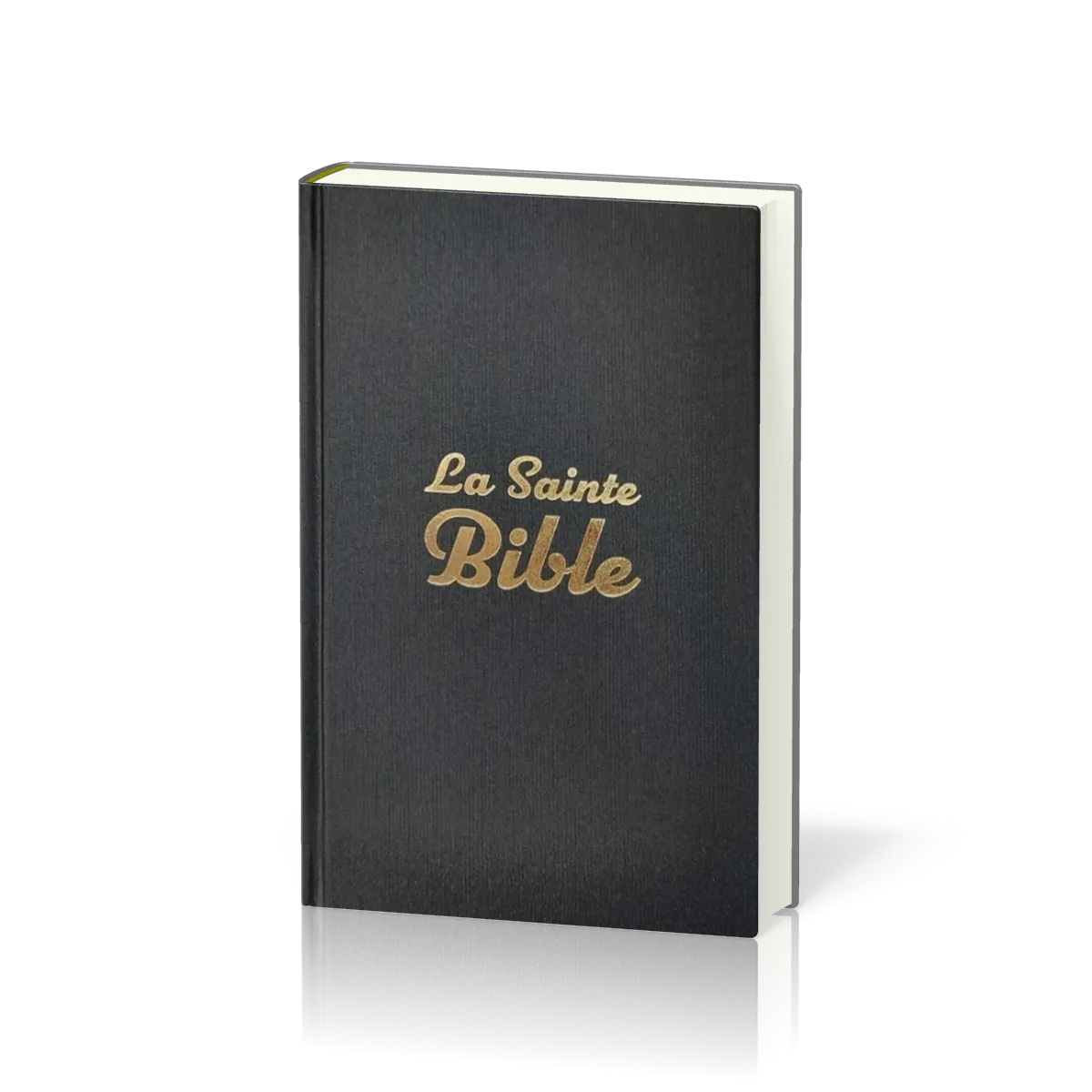Bible Segond 1910, compacte éco - rigide gris anthracite