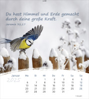 Allemand, La Vie pour toi - calendrier cartes postales