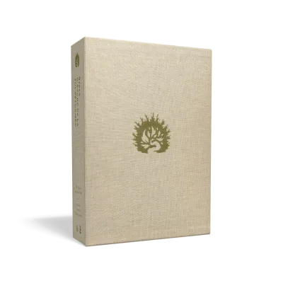 Bible d’étude de la foi réformée - Blanc, Similicuir, tranches or, un signet