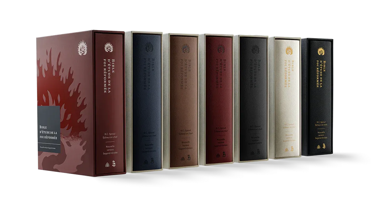 Bible d’étude de la foi réformée - Brun clair, Similicuir, tranches or, un signet