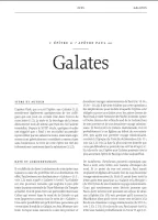 Bible d’étude de la foi réformée - Noir, Cuir véritable, tranches or, trois signets