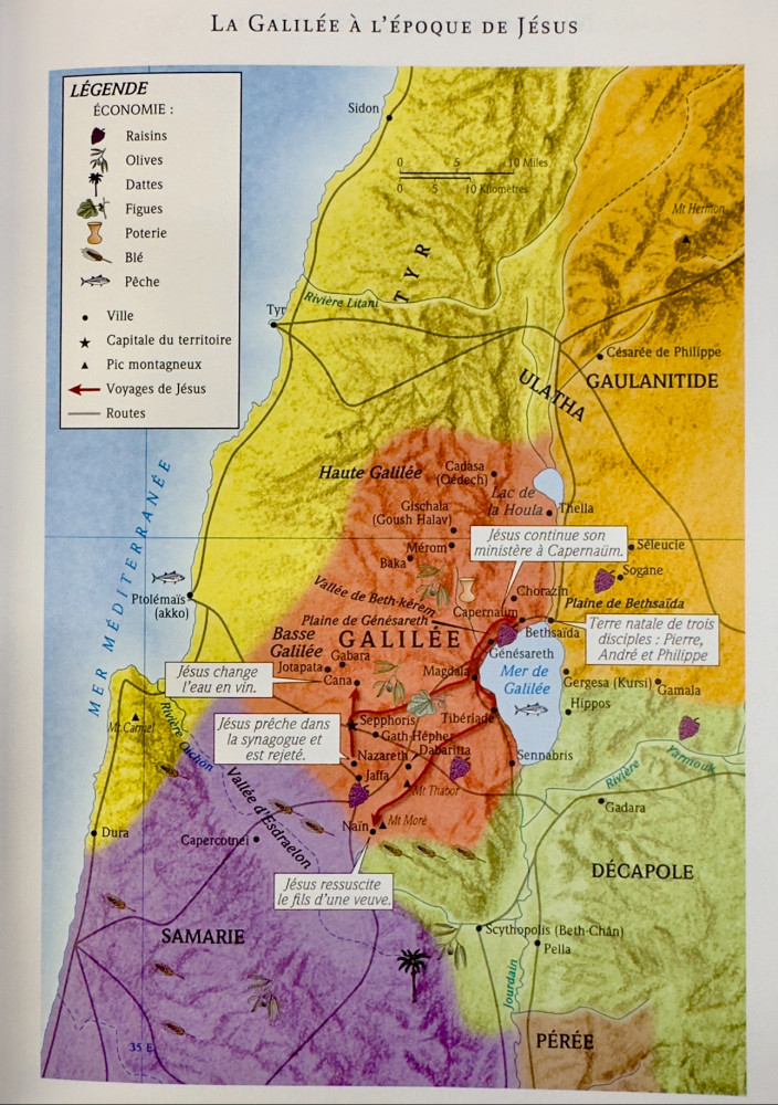 Bible d’étude de la foi réformée - Anthracite, Similicuir, tranches or, un signet