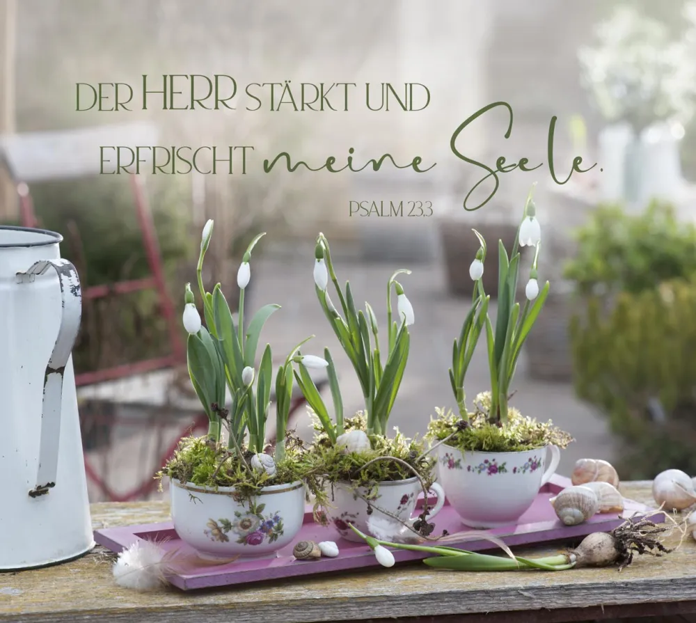 Aufstellbuch gross - Im Garten zuhause - mit 24 Postkarten