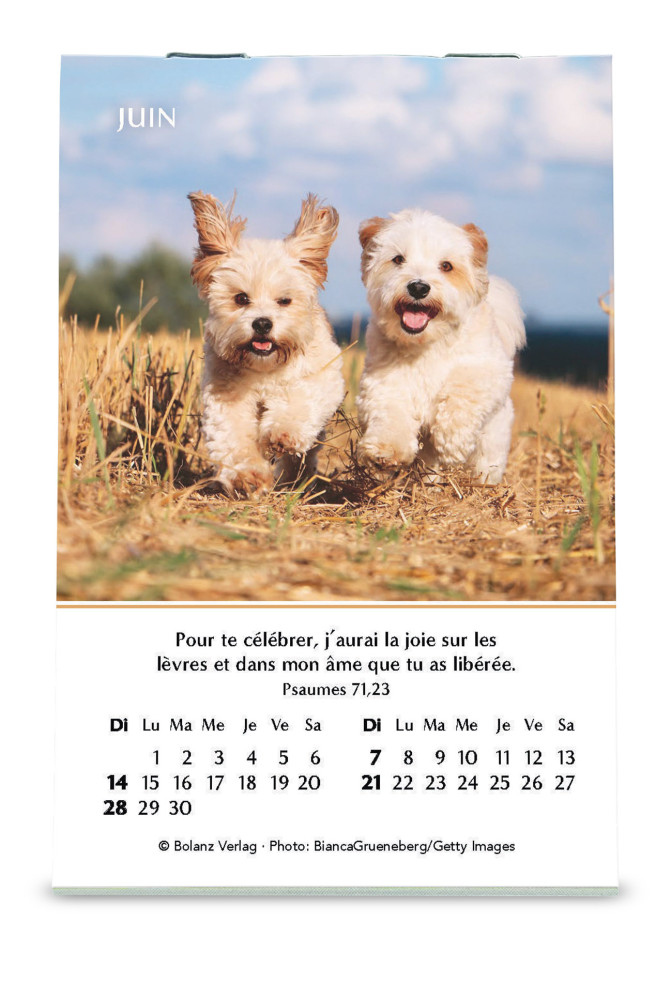 Joie - mini calendrier