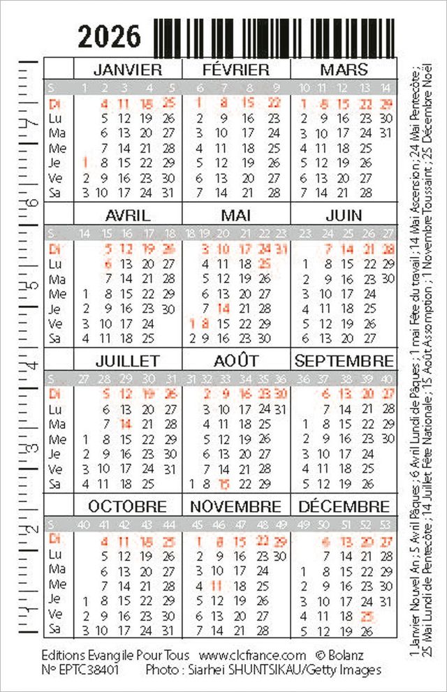 Calendrier format carte de crédit - Motif Chat (Galates 5.1)