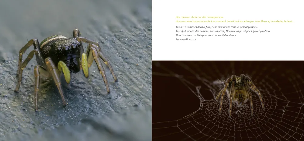 Mon regard Macro - Photos et Réflexions