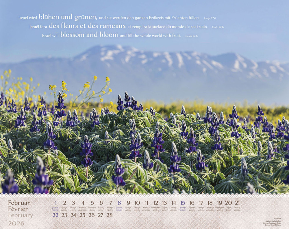 Calendrier Israël Merveilles, trilingue: français, allemand, anglais - Mural