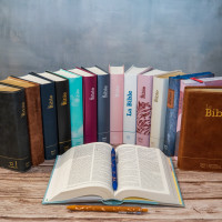 Bible Segond 21 compacte (Premium Style) - couverture souple, cuir anthracite, avec tranches dorées