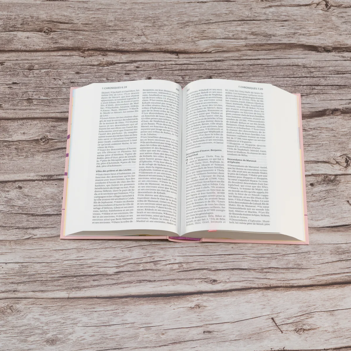 Bible Segond 21 compacte - Couverture rigide rose guimauve