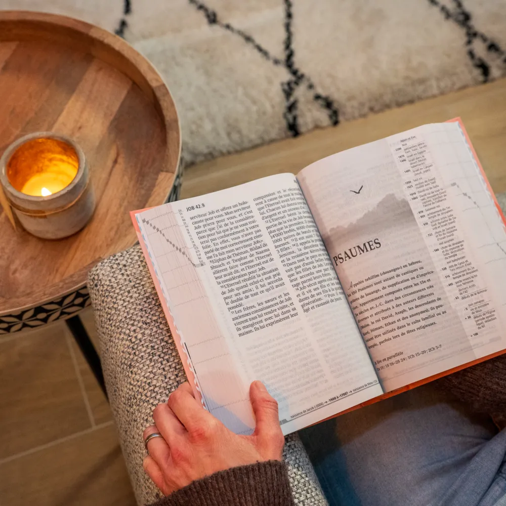 Bible Segond 21, gros caractères - couverture rigide et illustrée