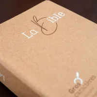 Bible Segond 21, gros caractères - couverture semi-rigide, papier brun chiné en fibres naturelles