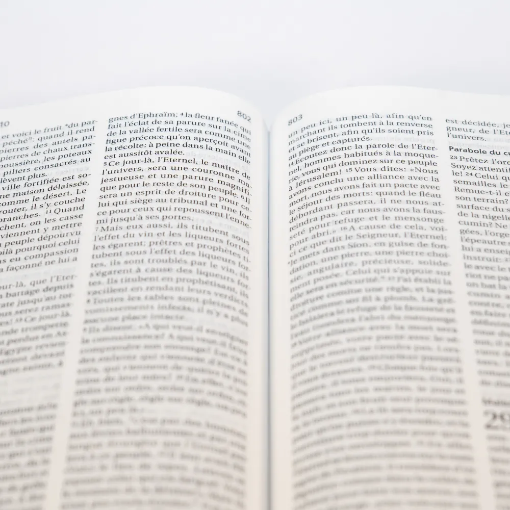 Bible Segond 21 compacte (Premium Style) - couverture souple, cuir anthracite, avec tranches dorées