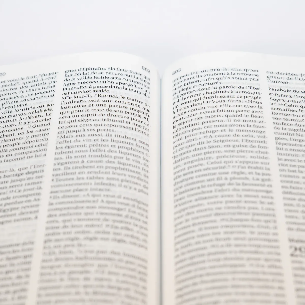 Bible Segond 21 compacte (Premium Style) - couverture souple, cuir anthracite, avec tranches dorées