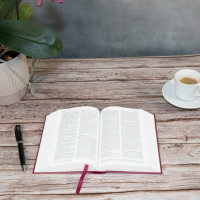 Bible Segond 21 compacte - couverture rigide motif prune