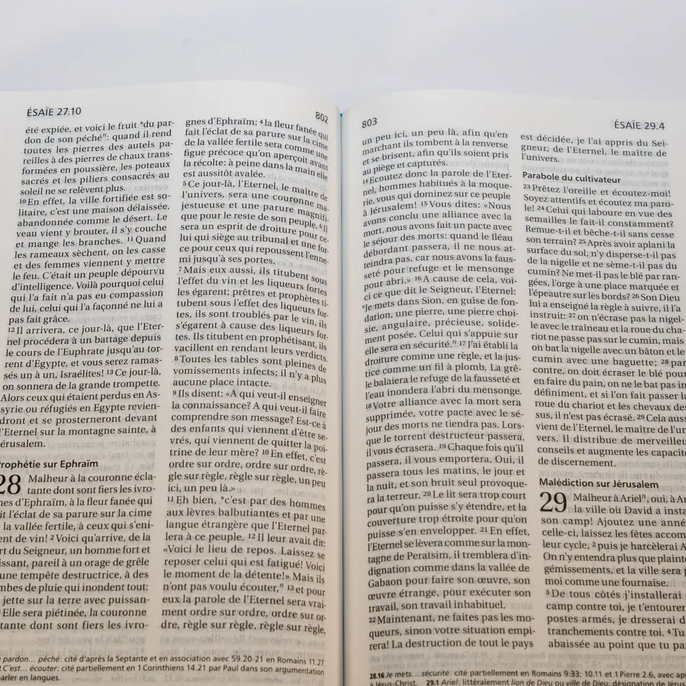 Bible Segond 21 compacte - couverture rigide motif bleu turquoise