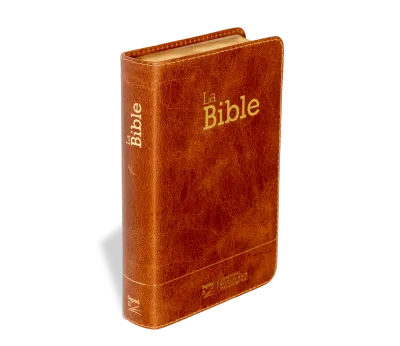 Bible Segond 21 compacte (Premium Style) - couverture souple, cuir brun, avec tranches dorées