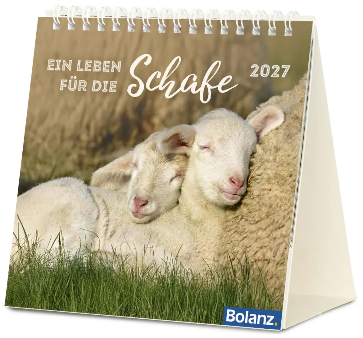 Ein Leben für die Schafe - Tischkalender