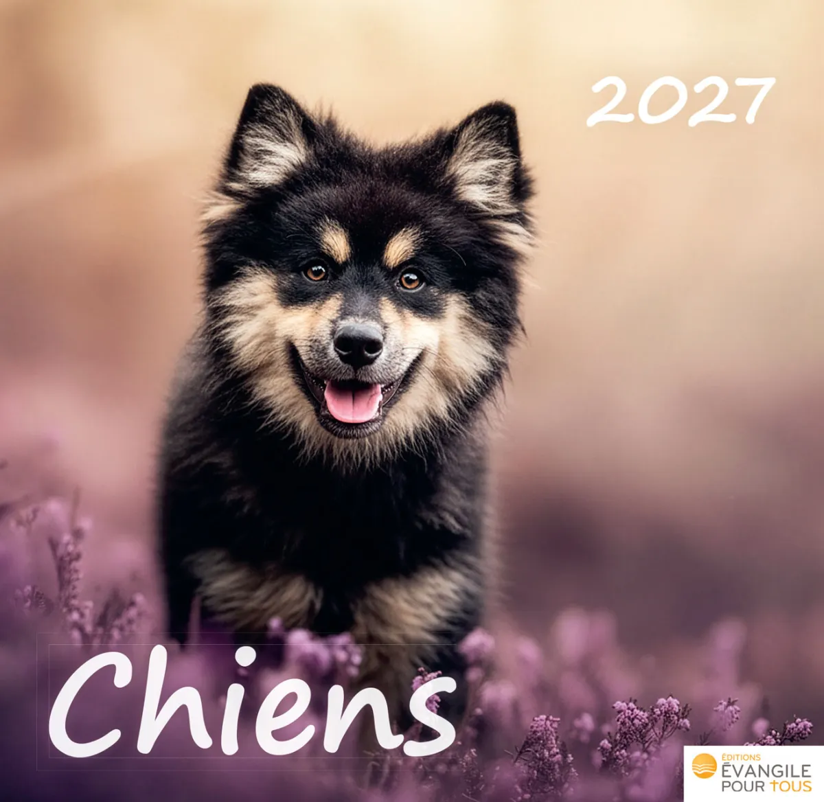 Chiens, Merveilles de la création - Calendrier de table