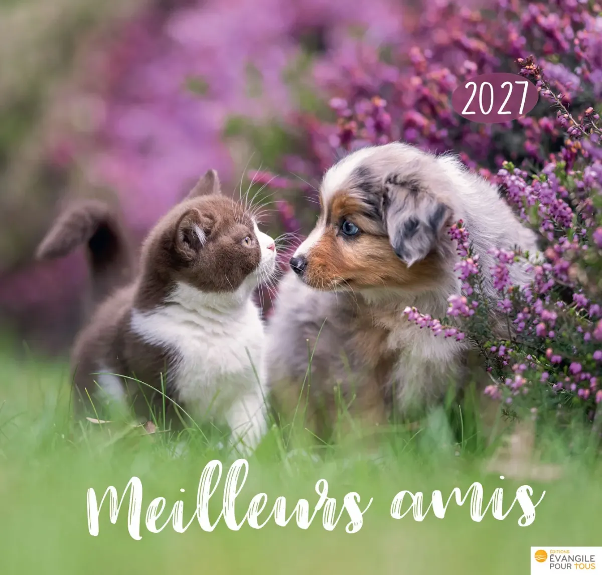 Meilleurs amis - Calendrier grand format