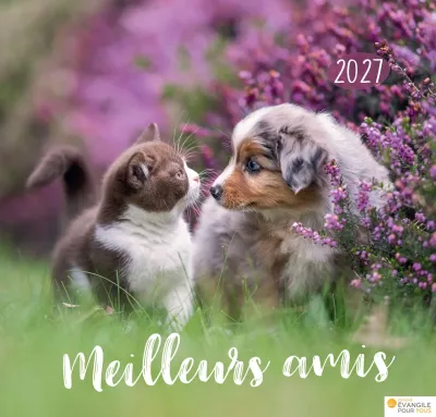 Meilleurs amis - Calendrier grand format