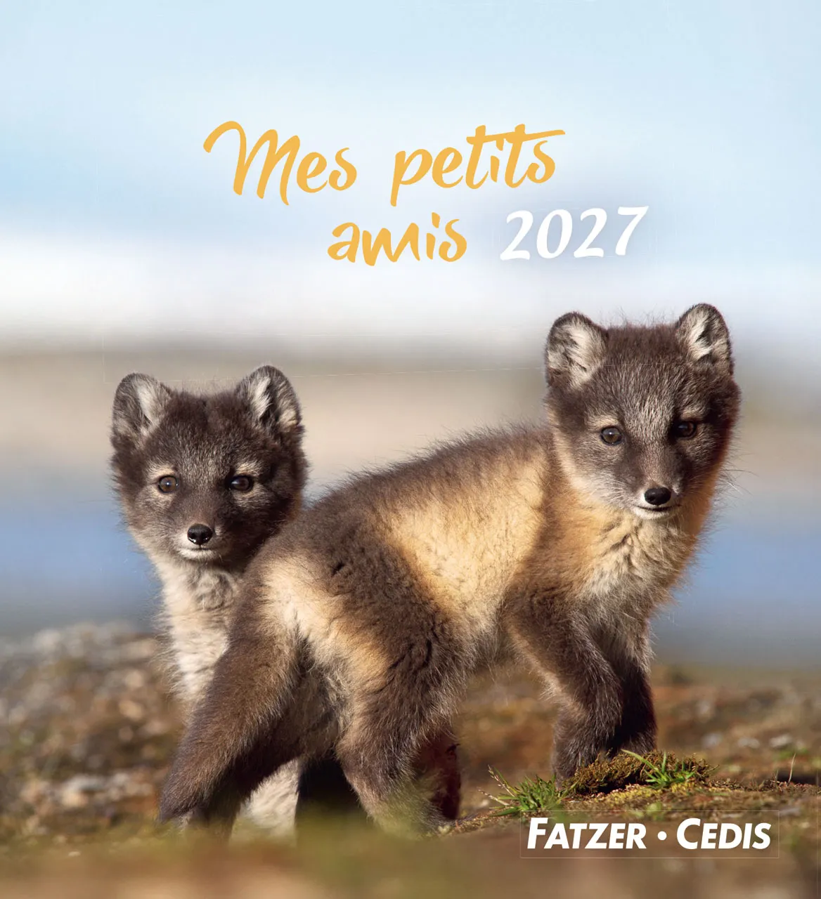 Mes petits amis avec versets bibliques - calendrier à poser