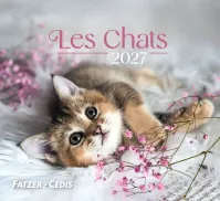 Chats (Les) - Petit calendrier avec 12 belles photos de chats