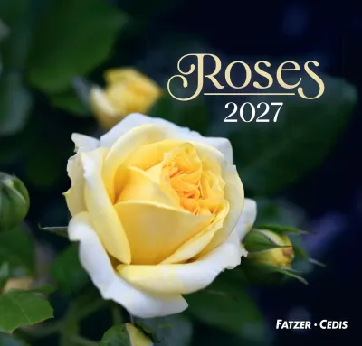 Roses, Grand format - Grand calendrier avec 12 belles photos de roses