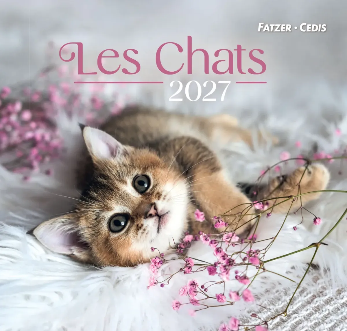 Chats, grand format (Les) - Grand calendrier avec 12 belles photos de chats
