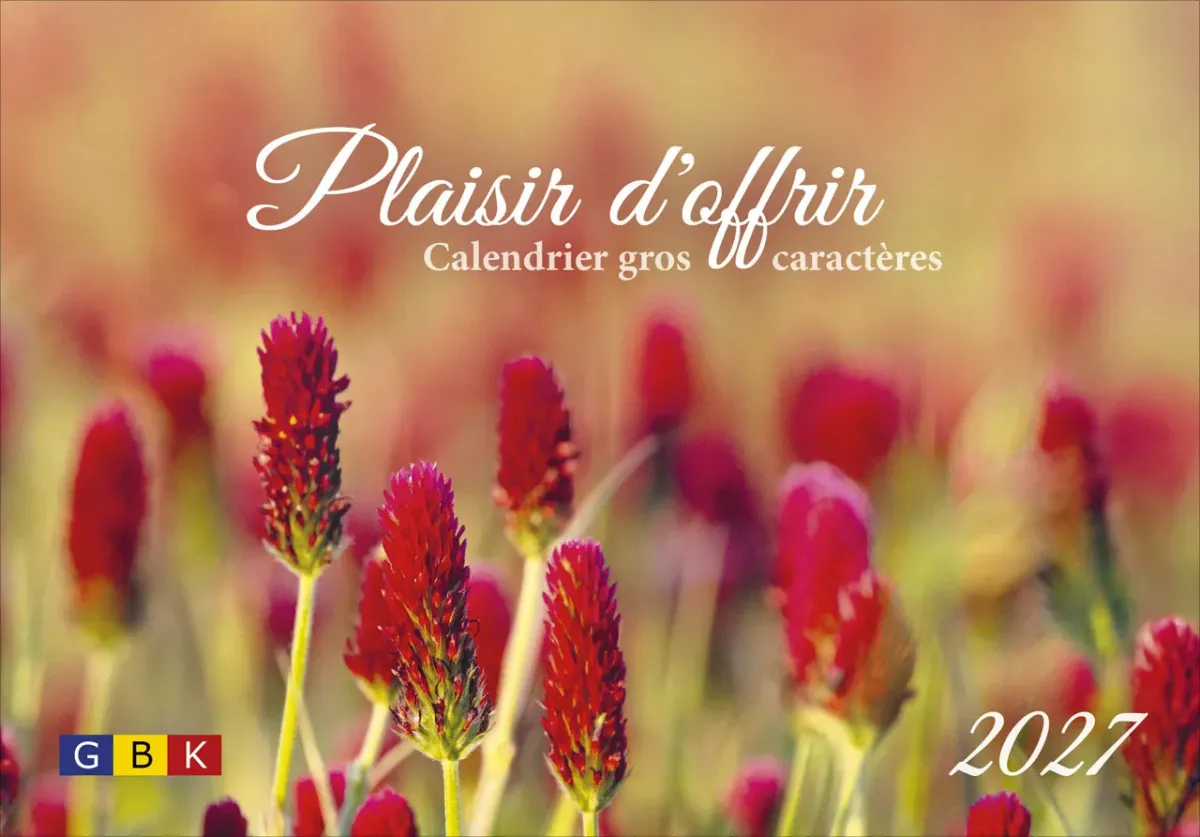 Plaisir d'offrir - Joli calendrier photo à gros caractères