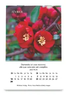 Louanges - mini calendrier