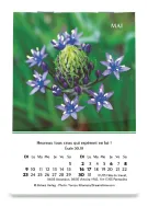Louanges - mini calendrier