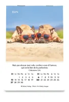 Joie - mini calendrier