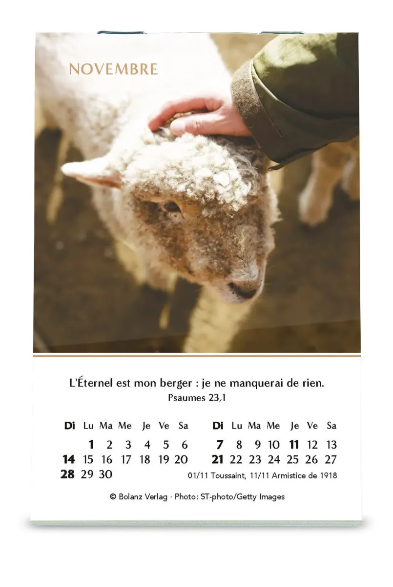 Joie - mini calendrier