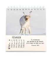 Mes petits amis avec versets bibliques - calendrier à poser