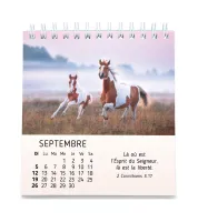 Mes petits amis avec versets bibliques - calendrier à poser