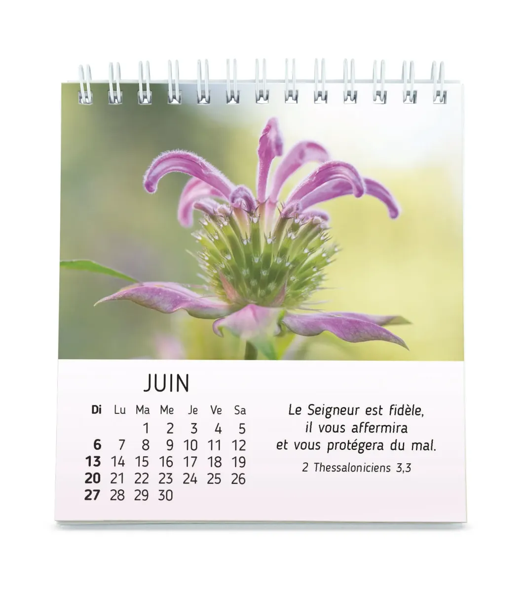 Nature en paix - calendrier à poser