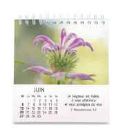 Nature en paix - calendrier à poser