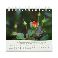 Roses - Petit calendrier avec 12 magnifiques photos de roses