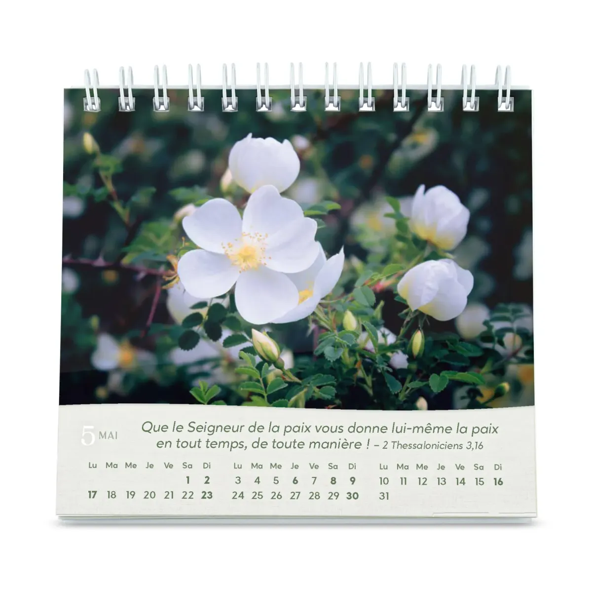 Roses - Petit calendrier avec 12 magnifiques photos de roses