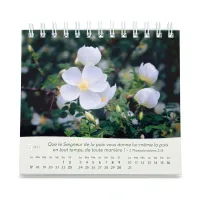 Roses - Petit calendrier avec 12 magnifiques photos de roses