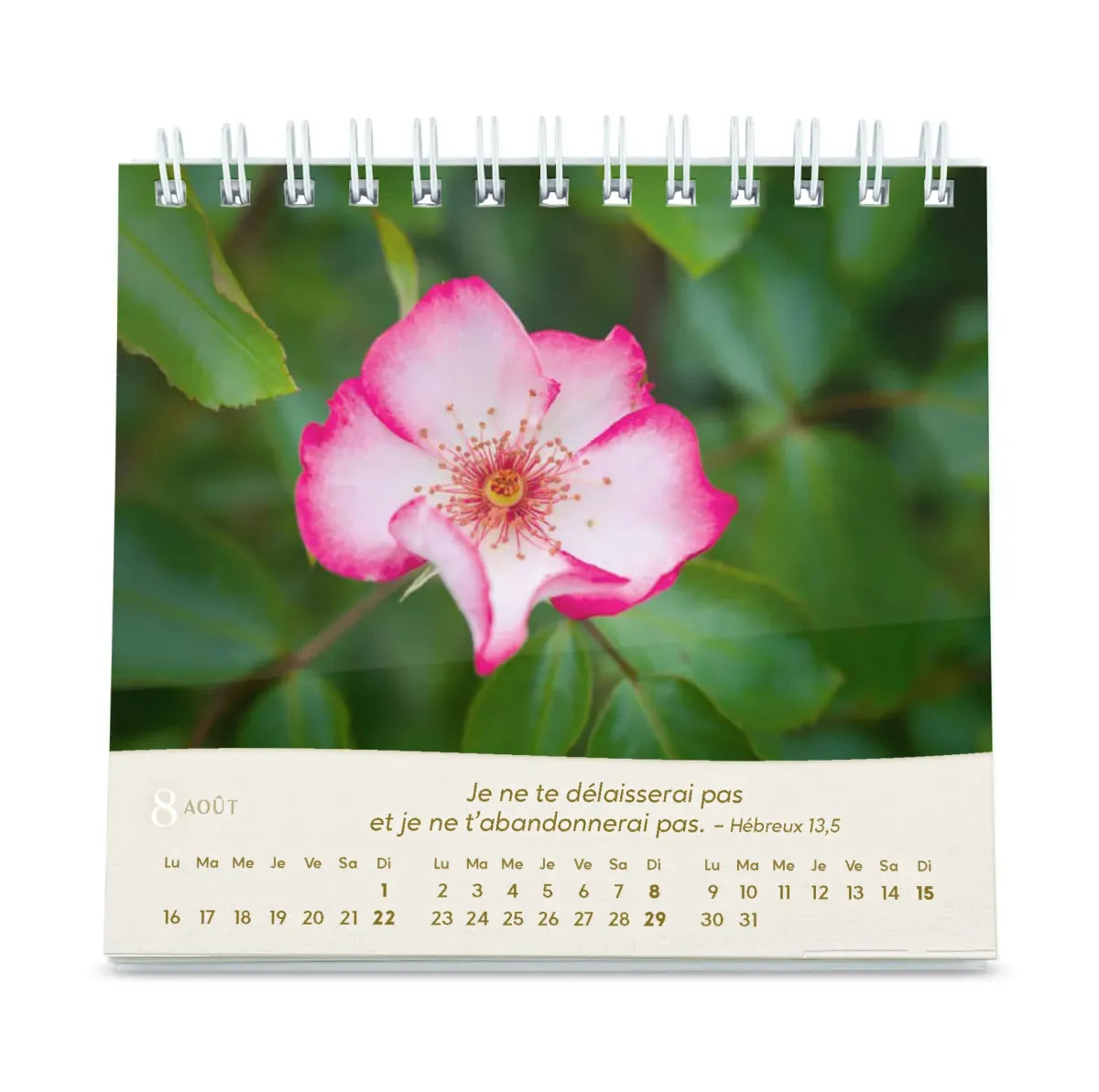 Roses - Petit calendrier avec 12 magnifiques photos de roses