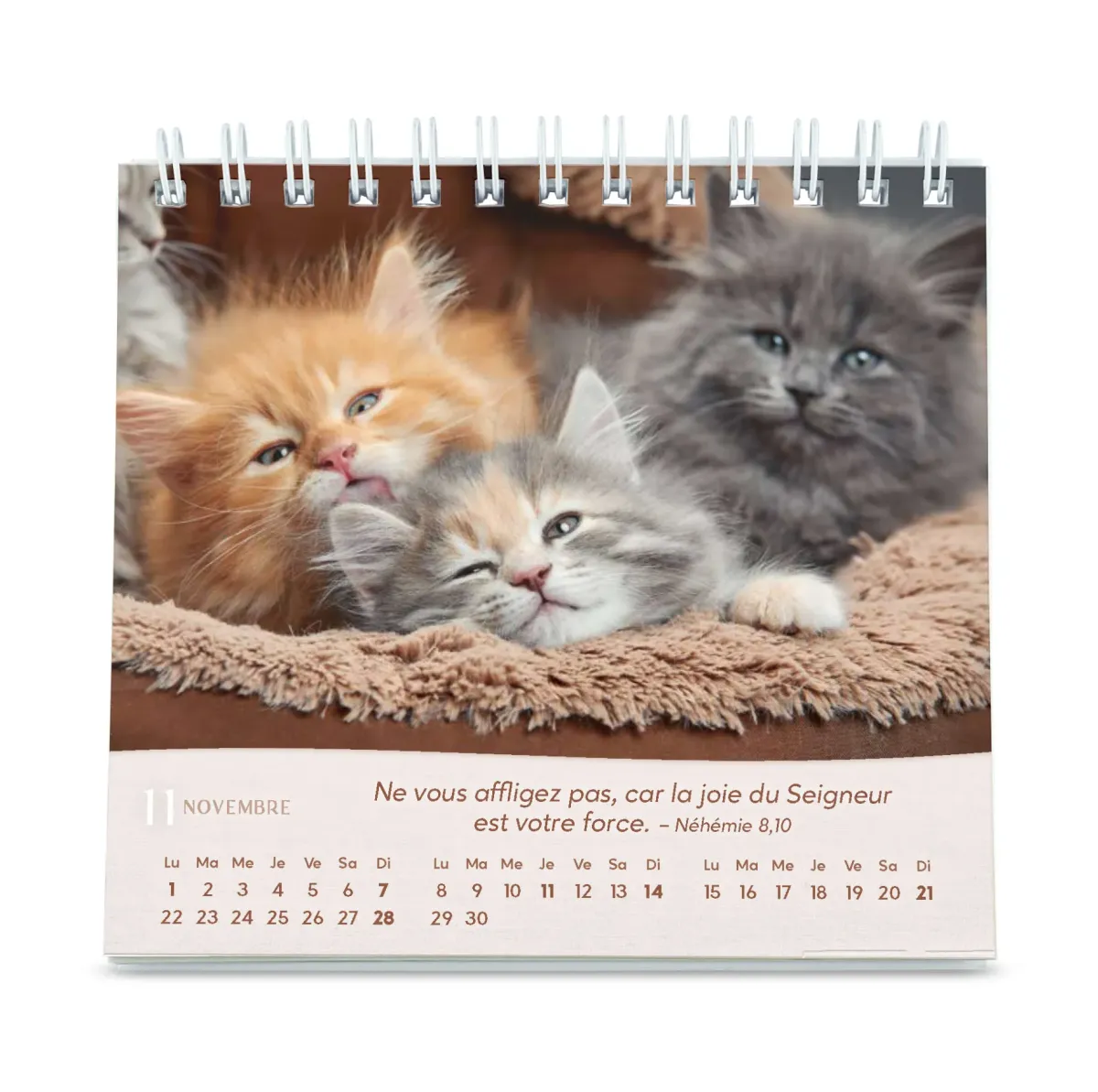 Chats (Les) - Petit calendrier avec 12 belles photos de chats