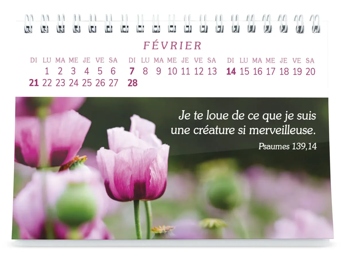 Plaisir d'offrir - Joli calendrier photo à gros caractères